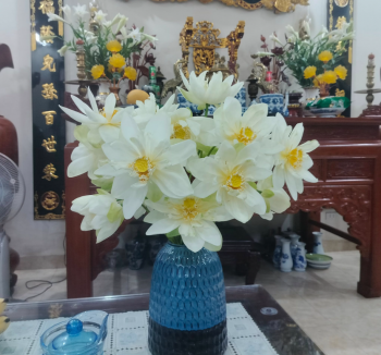 Lọ Hoa Sen Bạch Liên